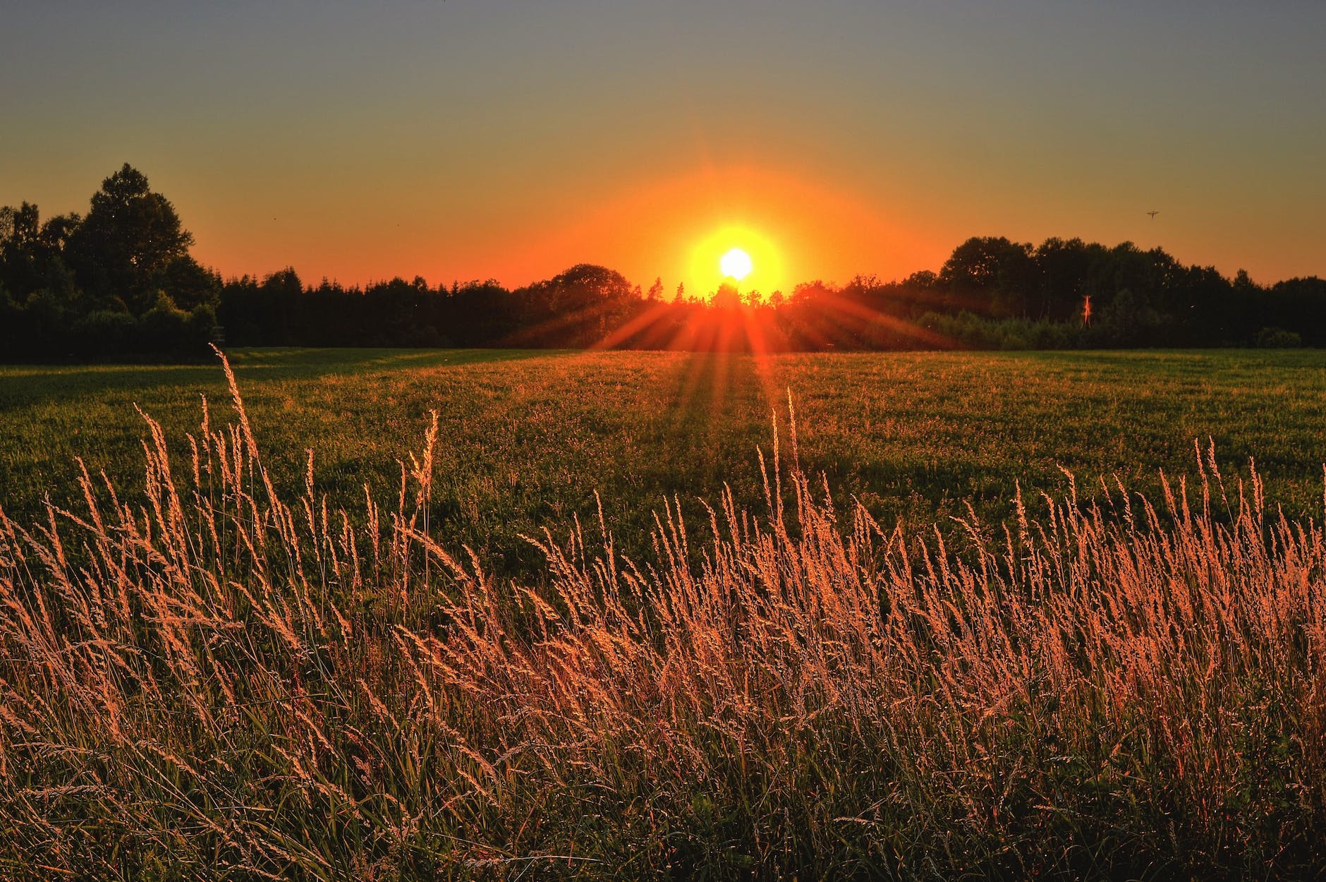 brown and green grass field during sunset -Photo by Jonathan Petersson on Pexels.com